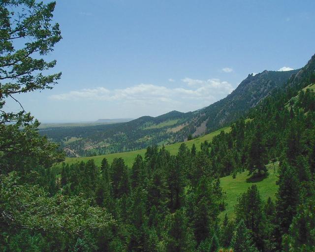 foothills.jpg